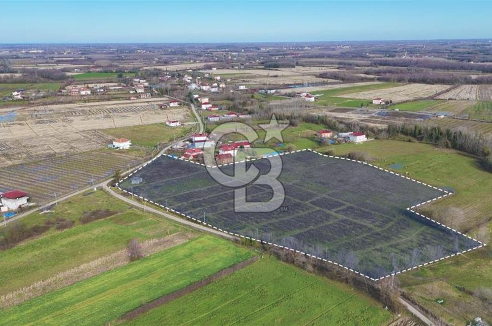 TAŞDEMİR YERLEŞİM MERKEZİNDE SATILIK TARLA