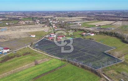 TAŞDEMİR YERLEŞİM MERKEZİNDE SATILIK TARLA