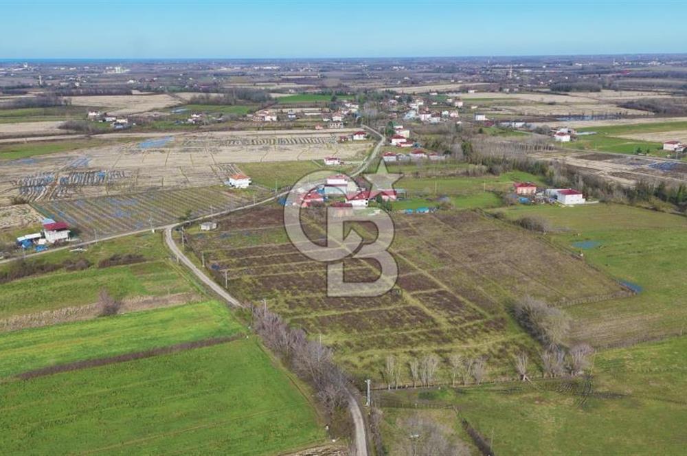 TAŞDEMİR YERLEŞİM MERKEZİNDE SATILIK TARLA