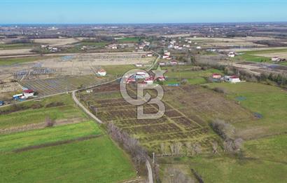 TAŞDEMİR YERLEŞİM MERKEZİNDE SATILIK TARLA