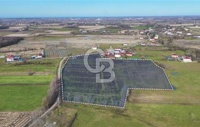 TAŞDEMİR YERLEŞİM MERKEZİNDE SATILIK TARLA