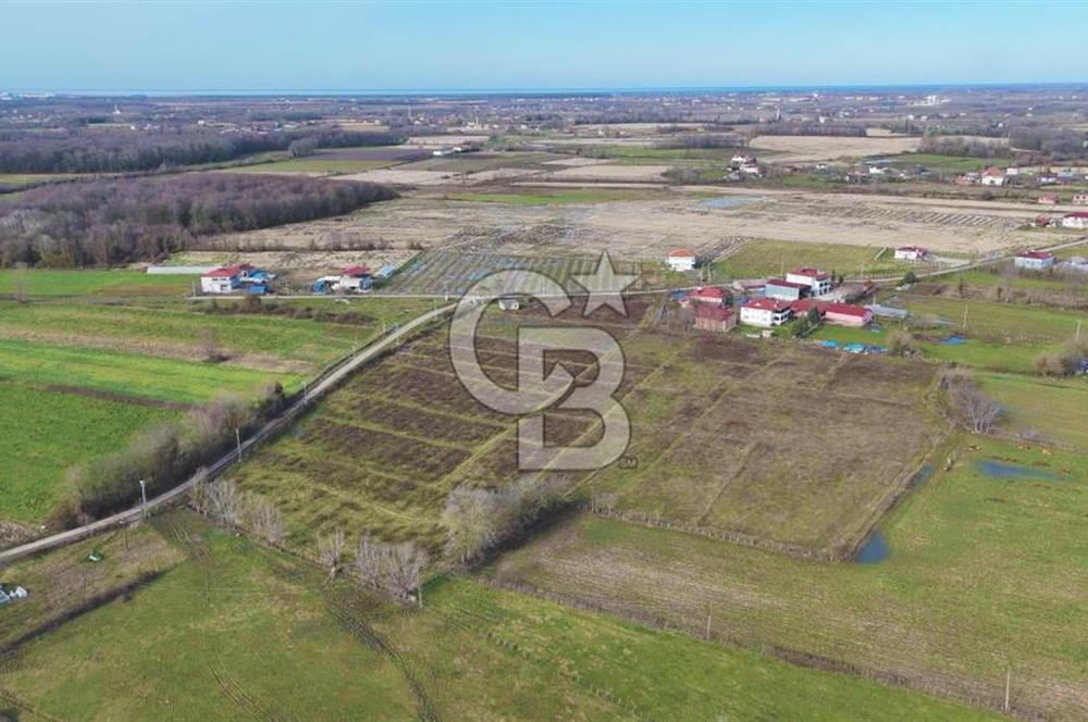 TAŞDEMİR YERLEŞİM MERKEZİNDE SATILIK TARLA