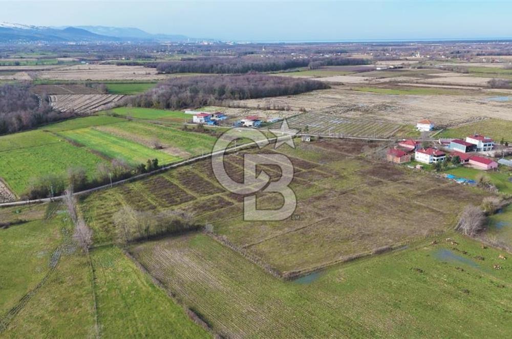 TAŞDEMİR YERLEŞİM MERKEZİNDE SATILIK TARLA