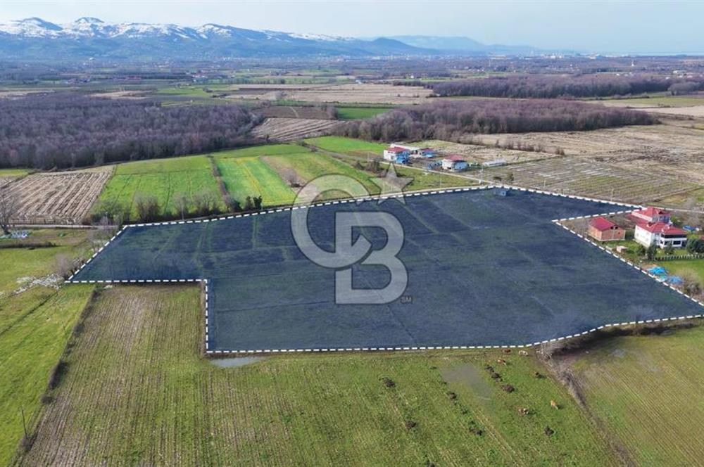 TAŞDEMİR YERLEŞİM MERKEZİNDE SATILIK TARLA