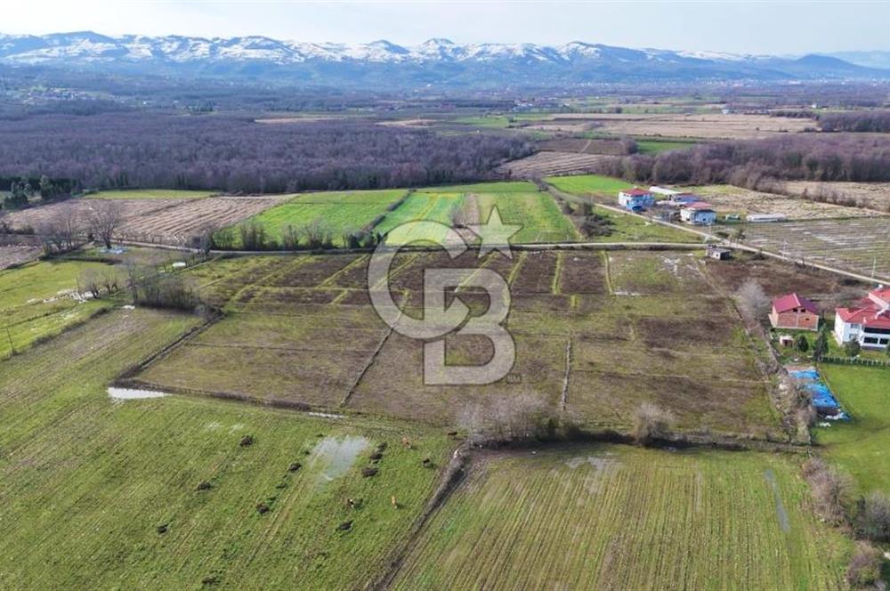 TAŞDEMİR YERLEŞİM MERKEZİNDE SATILIK TARLA