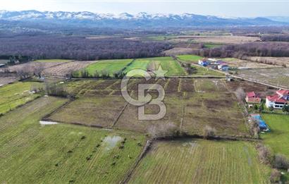 TAŞDEMİR YERLEŞİM MERKEZİNDE SATILIK TARLA