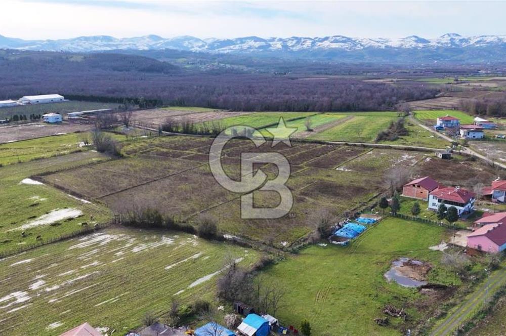 TAŞDEMİR YERLEŞİM MERKEZİNDE SATILIK TARLA