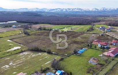 TAŞDEMİR YERLEŞİM MERKEZİNDE SATILIK TARLA