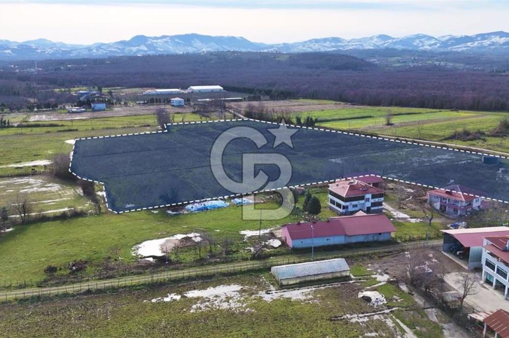 TAŞDEMİR YERLEŞİM MERKEZİNDE SATILIK TARLA