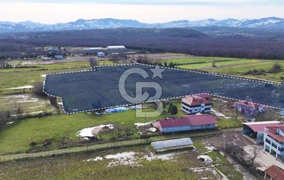 TAŞDEMİR YERLEŞİM MERKEZİNDE SATILIK TARLA