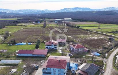 TAŞDEMİR YERLEŞİM MERKEZİNDE SATILIK TARLA