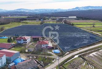 TAŞDEMİR YERLEŞİM MERKEZİNDE SATILIK TARLA - 1 - 320137