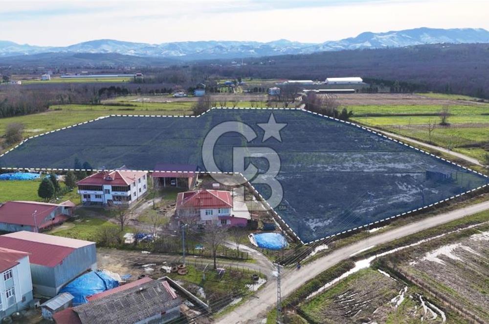 TAŞDEMİR YERLEŞİM MERKEZİNDE SATILIK TARLA