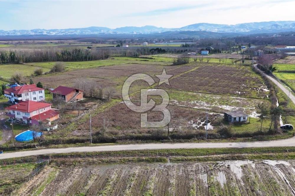 TAŞDEMİR YERLEŞİM MERKEZİNDE SATILIK TARLA