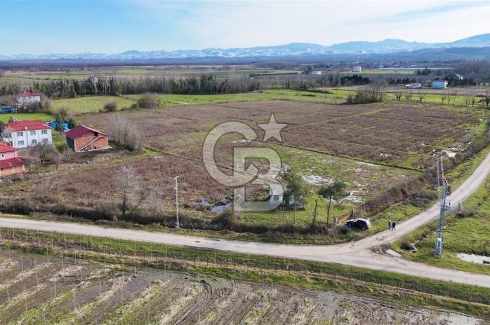 TAŞDEMİR YERLEŞİM MERKEZİNDE SATILIK TARLA