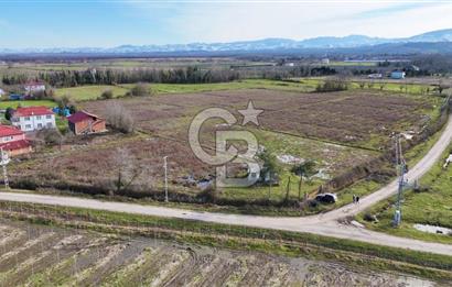 TAŞDEMİR YERLEŞİM MERKEZİNDE SATILIK TARLA