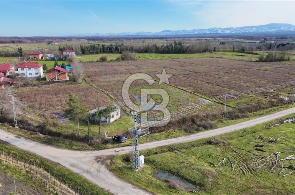 TAŞDEMİR YERLEŞİM MERKEZİNDE SATILIK TARLA