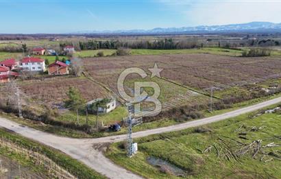 TAŞDEMİR YERLEŞİM MERKEZİNDE SATILIK TARLA