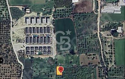 AYDIN EFELER KUYULU SATILIK ARSA