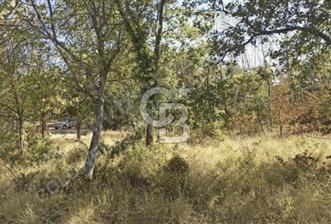 SEYHAN SELVİDEN YAZIKÖYDE ACİL SATILIK 425 m2 BAHÇE - 1 - 330480