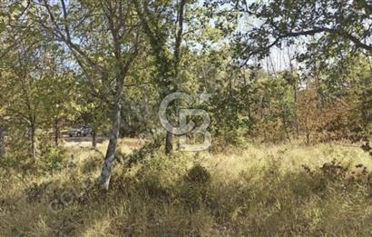 SEYHAN SELVİDEN YAZIKÖYDE ACİL SATILIK 425 m2 BAHÇE