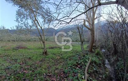 BURSA ORHANGAZİ YENİGÜRLE 2270 M2 SATILIK TARLA..!