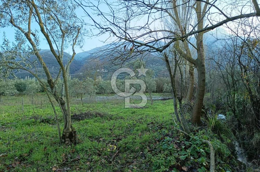 BURSA ORHANGAZİ YENİGÜRLE 2270 M2 SATILIK TARLA..!