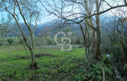 BURSA ORHANGAZİ YENİGÜRLE 2270 M2 SATILIK TARLA..!