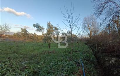 BURSA ORHANGAZİ YENİGÜRLE 2270 M2 SATILIK TARLA..!