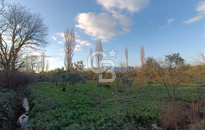 BURSA ORHANGAZİ YENİGÜRLE 2270 M2 SATILIK TARLA..!