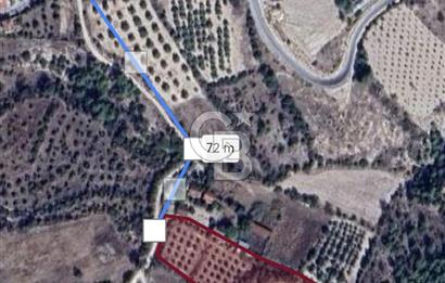 Denizli Güney Ertuğrulda Zeytinlik 9.946 m² Satılık Tarla