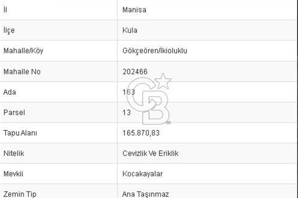 MANİSA KULA 165 DÖNÜM /CHANDLER CEVİZ VE ANJELİK ERİK BAHÇESİ