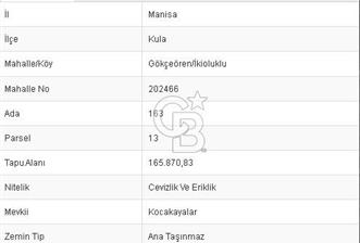 MANİSA KULA 165 DÖNÜM /CHANDLER CEVİZ VE ANJELİK ERİK BAHÇESİ - 1 - 330567