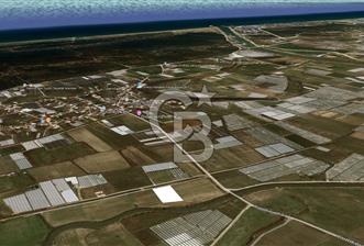 AKSU KUMKÖY'DE 4803 M2 SATILIK TARLA - 1 - 330518