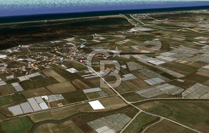 AKSU KUMKÖY'DE 4803 M2 SATILIK TARLA