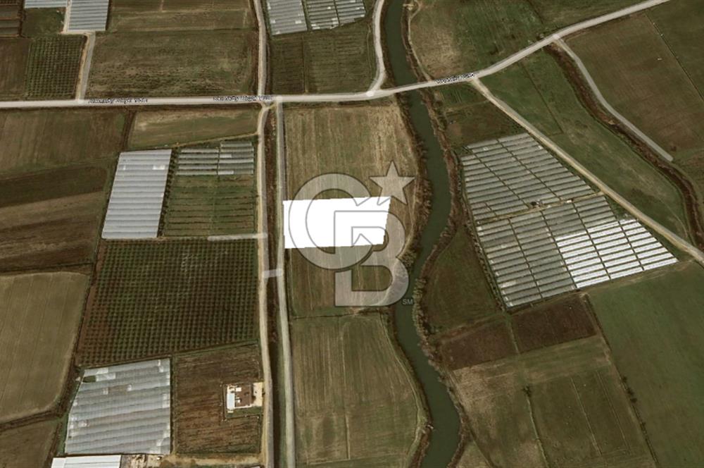 AKSU KUMKÖY'DE 4803 M2 SATILIK TARLA