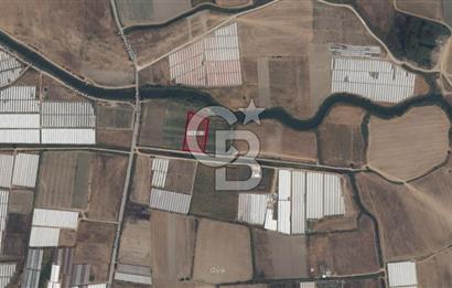 AKSU KUMKÖY'DE 4803 M2 SATILIK TARLA