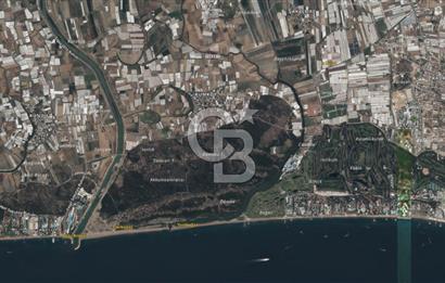 AKSU KUMKÖY'DE 4803 M2 SATILIK TARLA