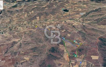 MANİSA KULA 165 DÖNÜM /CHANDLER CEVİZ VE ANJELİK ERİK BAHÇESİ