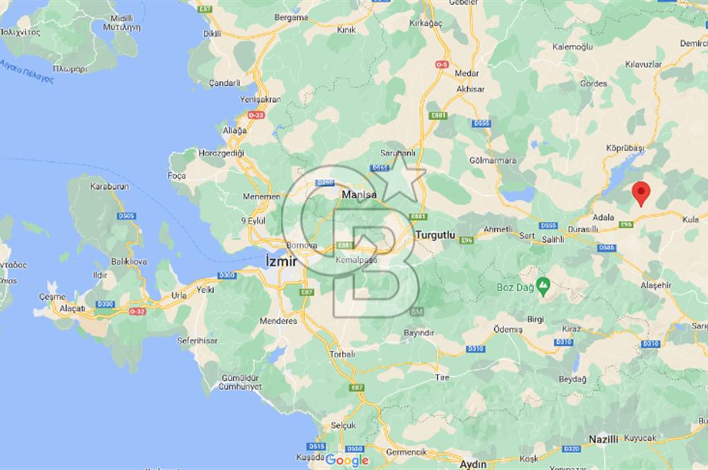 MANİSA KULA 165 DÖNÜM /CHANDLER CEVİZ VE ANJELİK ERİK BAHÇESİ