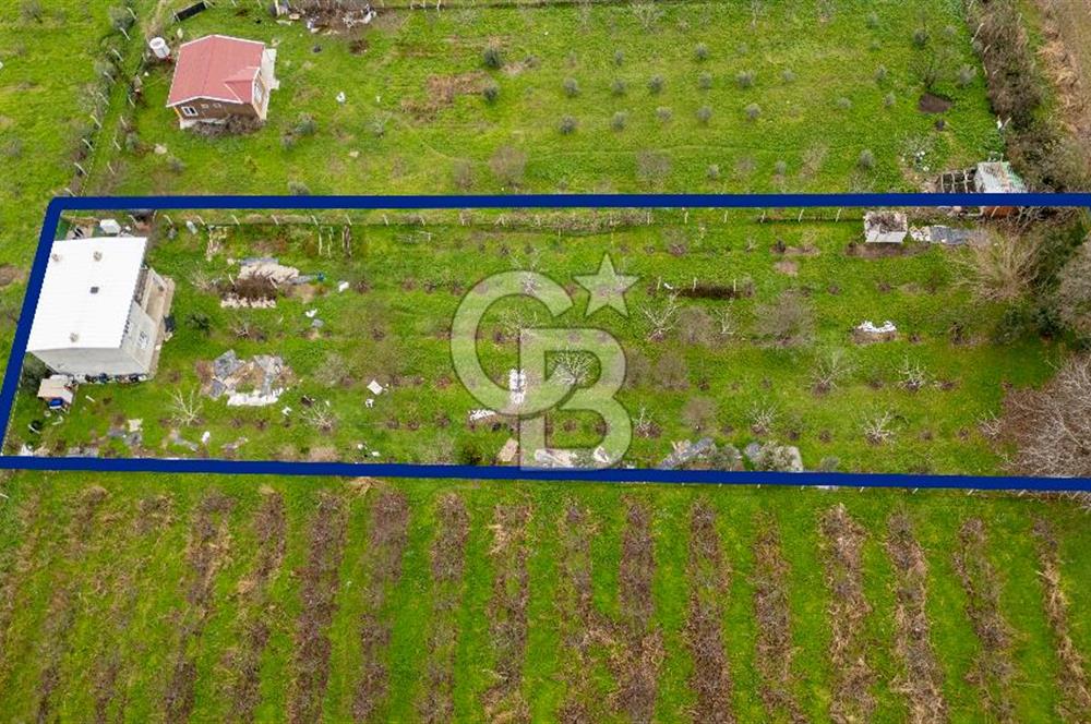 Kemalpaşa Ören'de Satılık Müstakil Tarla