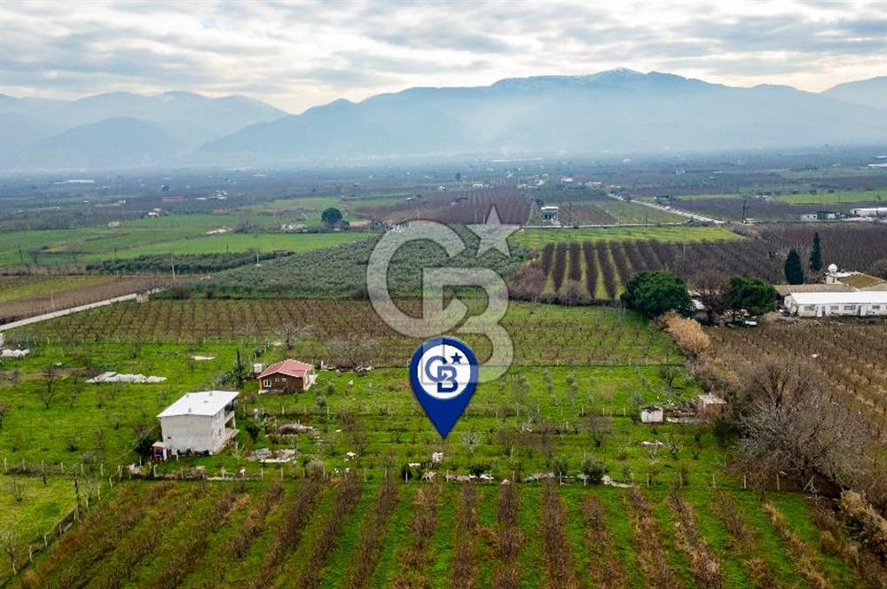 Kemalpaşa Ören'de Satılık Müstakil Tarla