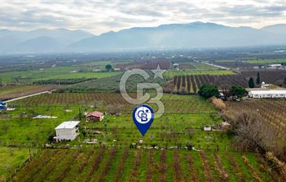 Kemalpaşa Ören'de Satılık Müstakil Tarla