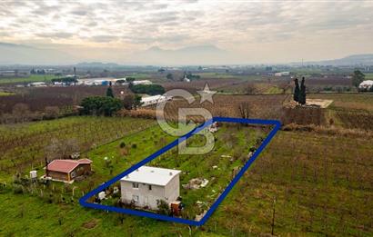 Kemalpaşa Ören'de Satılık Müstakil Tarla