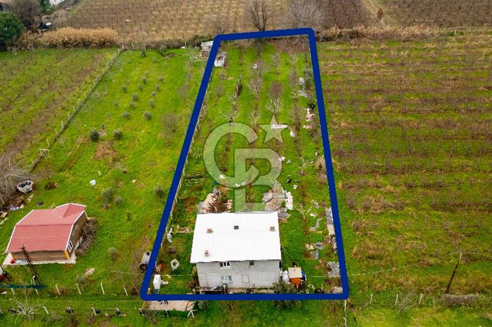 Kemalpaşa Ören'de Satılık Müstakil Tarla