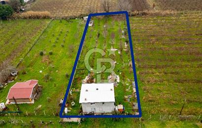 Kemalpaşa Ören'de Satılık Müstakil Tarla