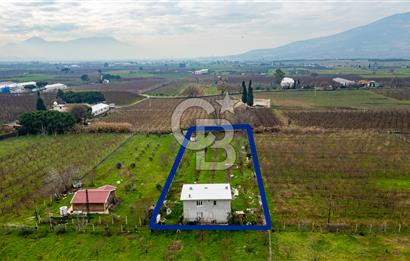 Kemalpaşa Ören'de Satılık Müstakil Tarla