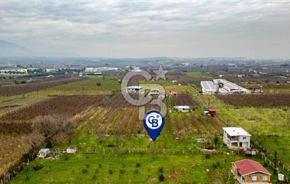 Kemalpaşa Ören'de Satılık Müstakil Tarla