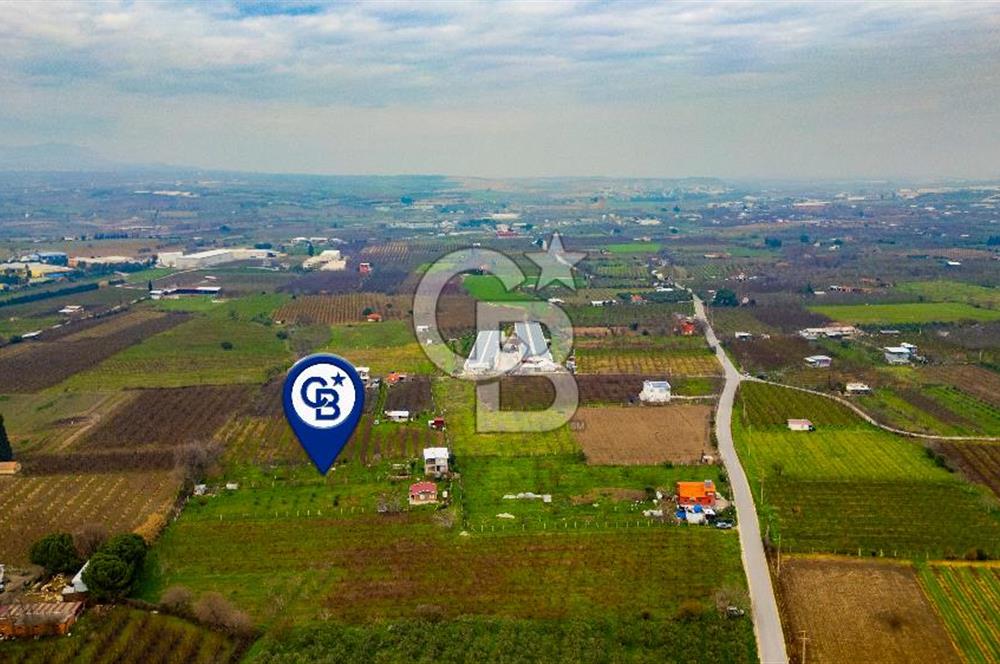 Kemalpaşa Ören'de Satılık Müstakil Tarla