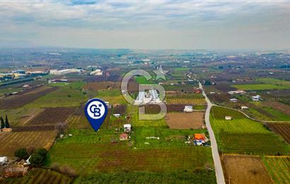 Kemalpaşa Ören'de Satılık Müstakil Tarla